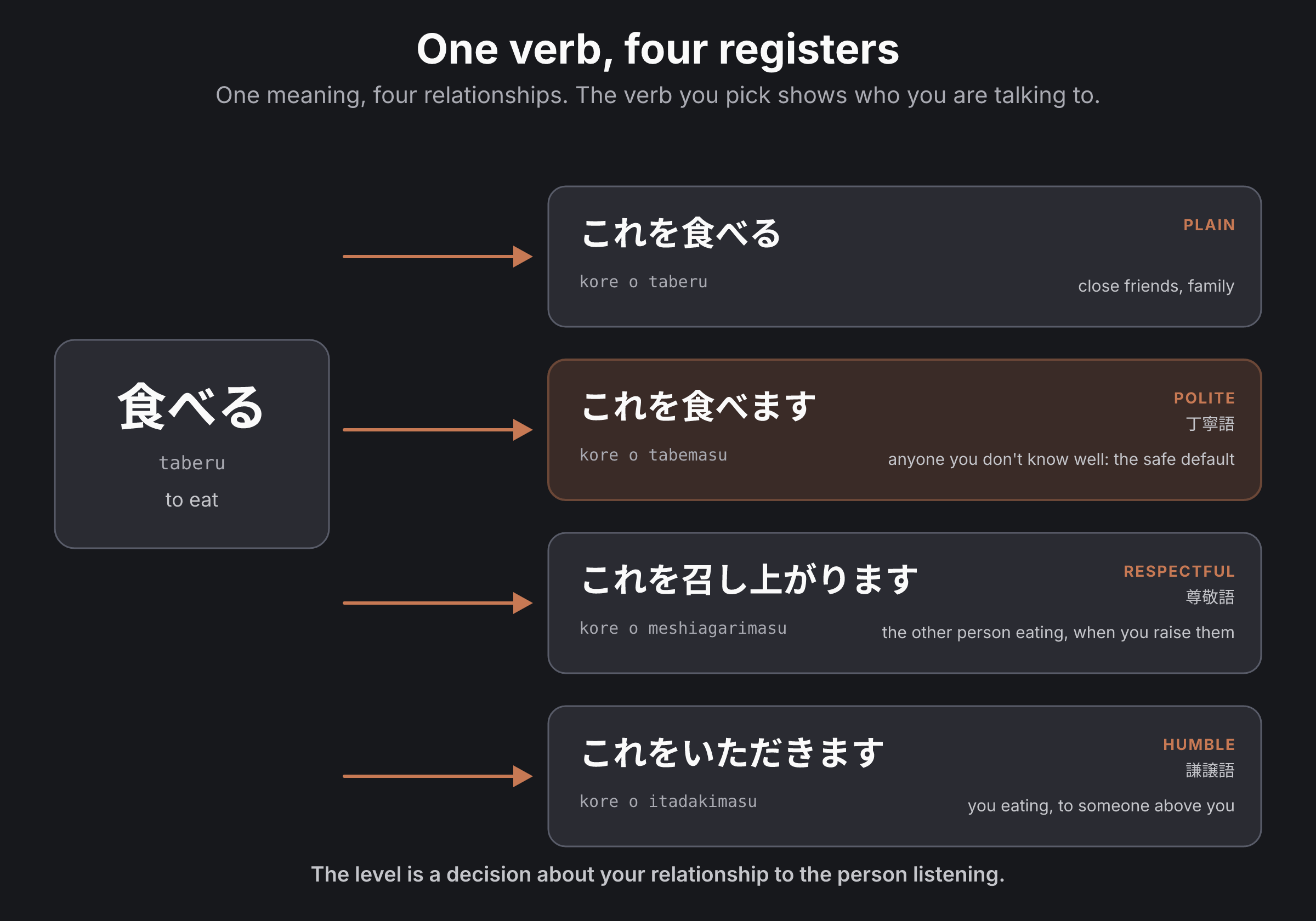 One verb, four registers: the Japanese verb for "eat" in plain, polite, respectful, and humble form, each labelled with who to say it to