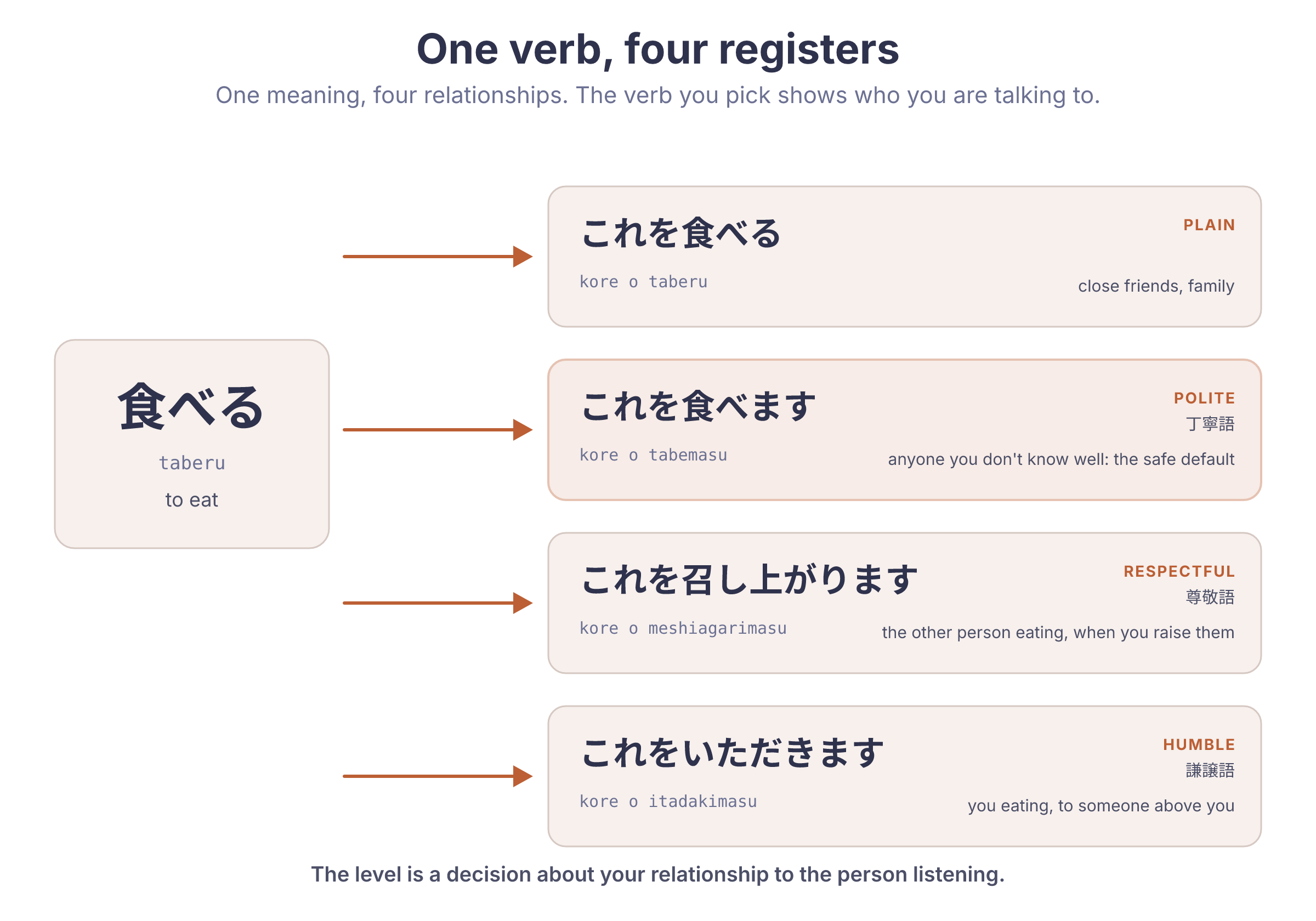 One verb, four registers: the Japanese verb for "eat" in plain, polite, respectful, and humble form, each labelled with who to say it to