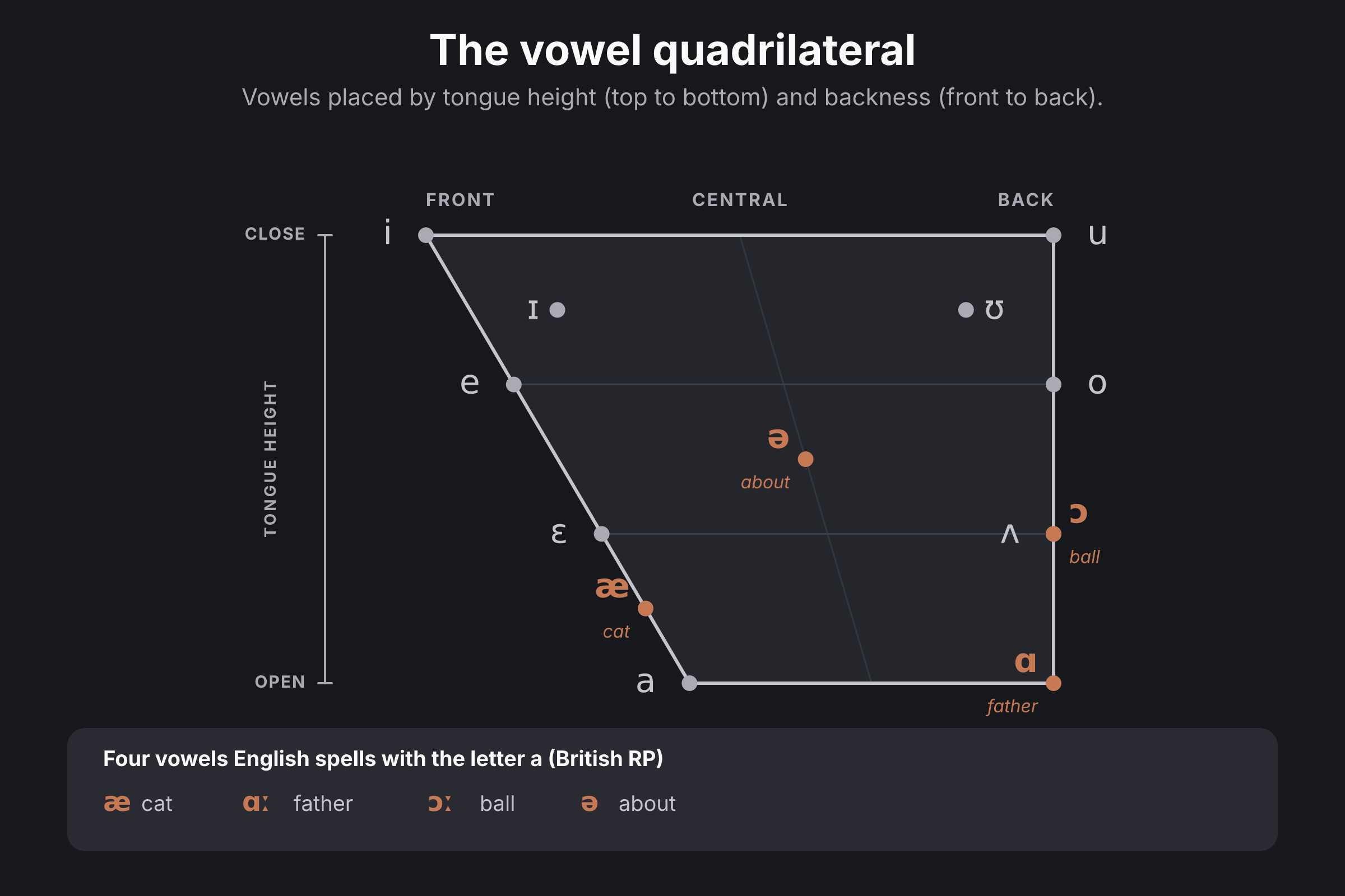The IPA vowel quadrilateral with vowels plotted by tongue height and backness, and the four sounds English spells with the letter a highlighted in orange.