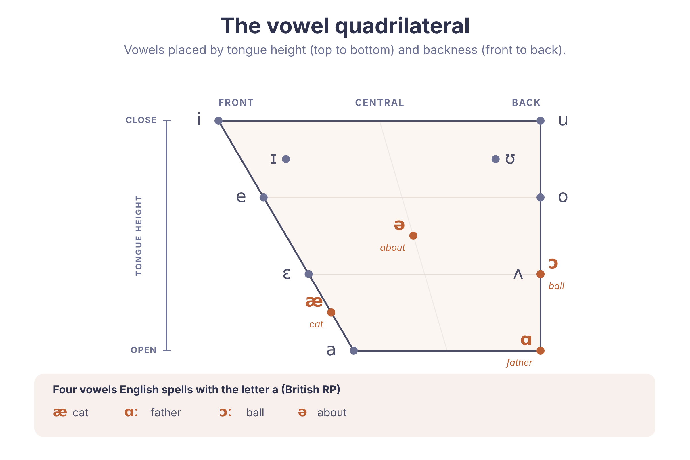 The IPA vowel quadrilateral with vowels plotted by tongue height and backness, and the four sounds English spells with the letter a highlighted in orange.